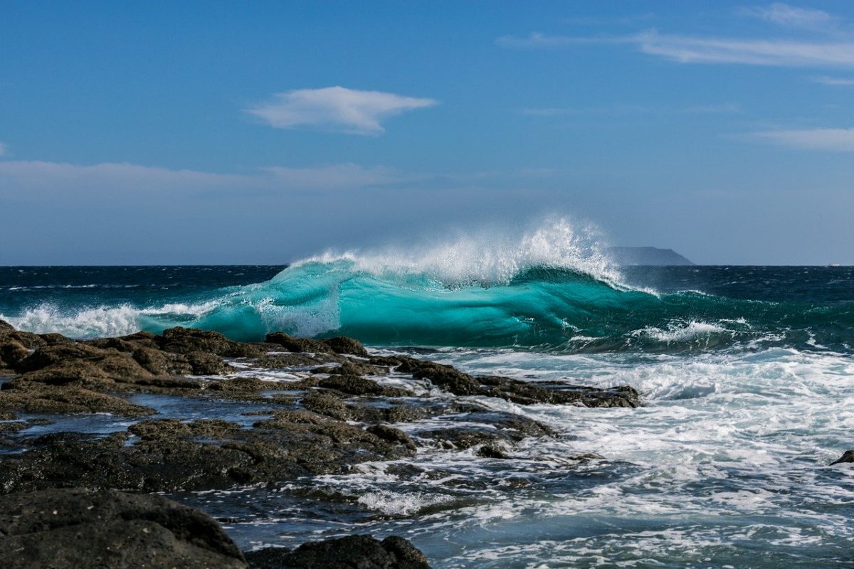 Oggi Nel Mondo Si Celebra La Giornata Mondiale Degli Oceani