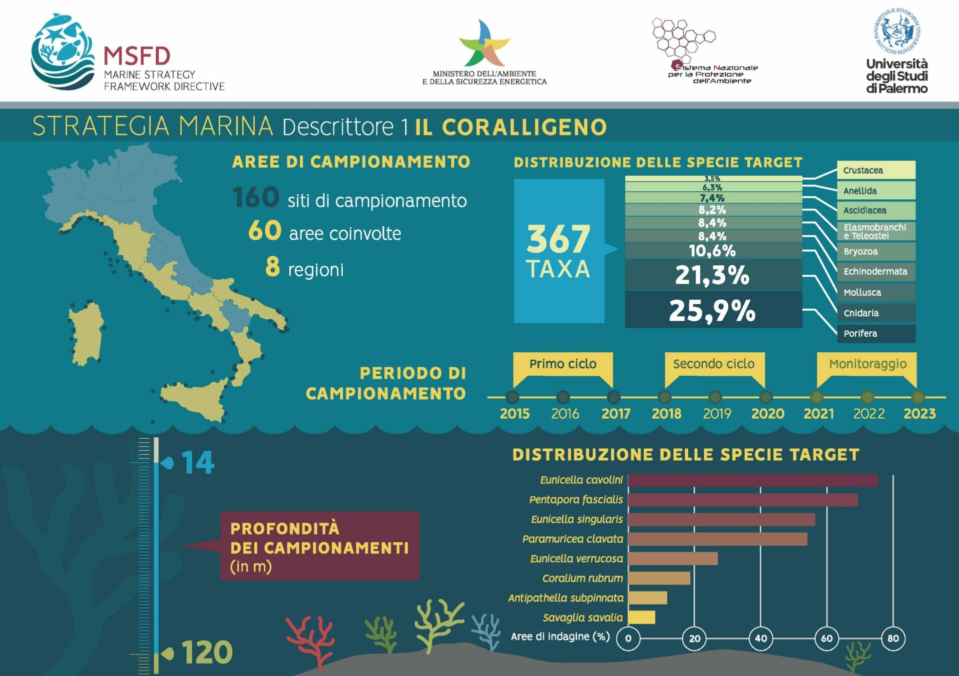 infografica-CORALLIGENO-scaled coralli