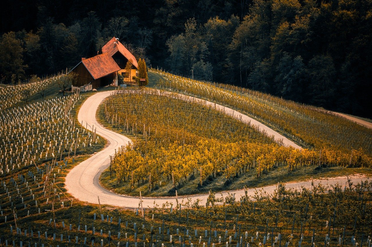 terzo bando parco agrisolare