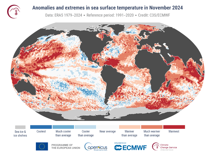 temperatura marina 2024 novembre